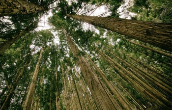 Sustentabilidade é sinônimo de desenvolvimento!